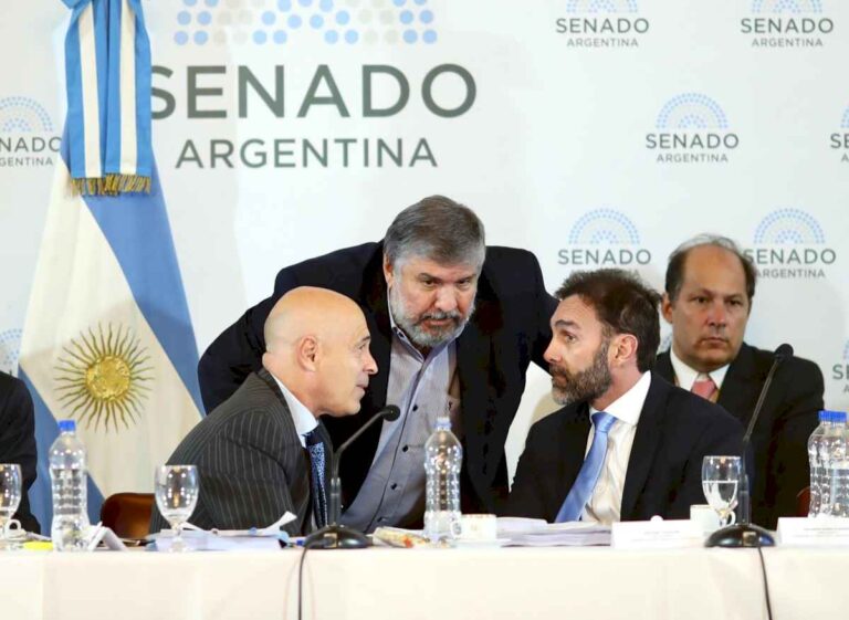 se-reanuda-el-debate-por-la-ley-bases-en-el-senado,-pero-todavia-no-hay-consenso-para-el-dictamen