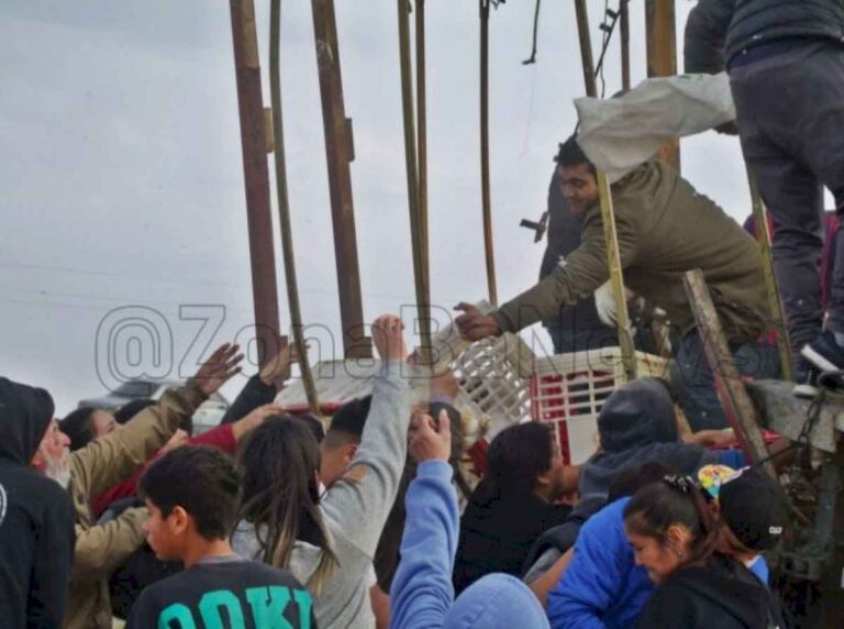 video:-un-camion-cargado-con-pollos-volco-en-la-ruta-31-y-cientos-de-vecinos-lo-saquearon-en-minutos