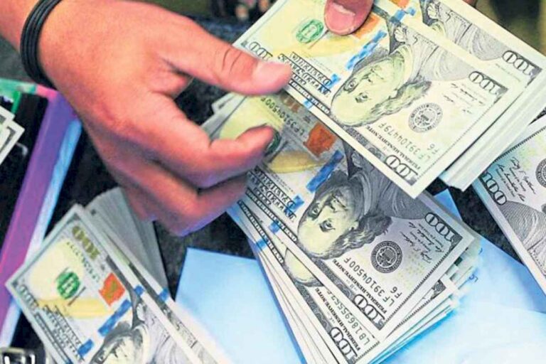 dolar-blue,-dolar-hoy:-a-cuanto-cotizan-el-lunes-15-de-julio