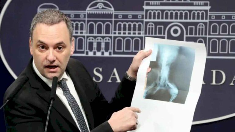 el-insolito-caso-de-la-radiografia-de-un-perro-que-se-uso-para-obtener-una-pension