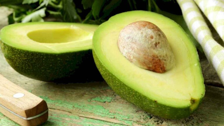 dia-internacional-de-la-palta:-cuales-son-los-increibles-beneficios-de-este-alimento-para-nuestra-salud?