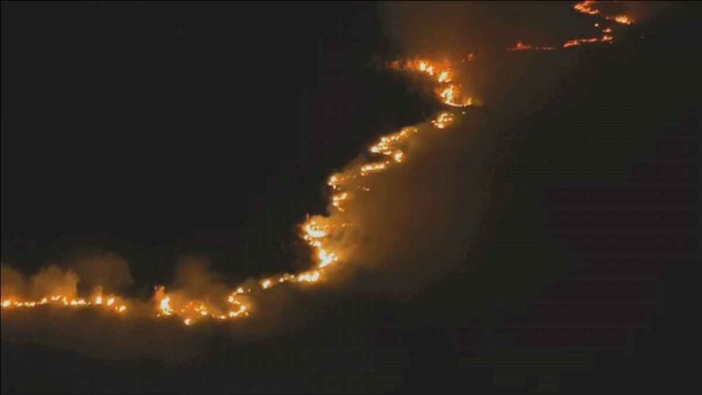 impactantes-imagenes:-el-fuego-del-parque-nacional-ciervo-de-los-pantanos-llego-hasta-la-panamericana