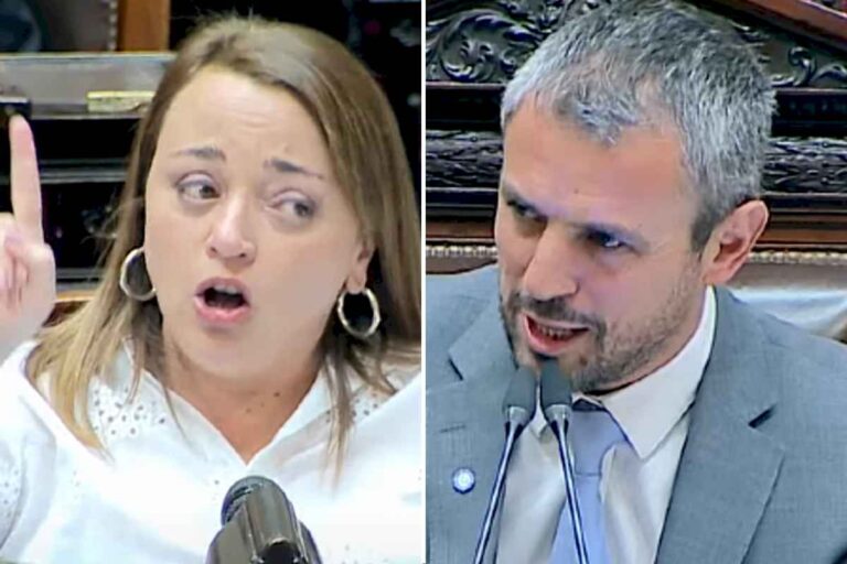 el-fuerte-cruce-entre-cecilia-moreau-y-martin-menem-en-plena-sesion-en-diputados:-machirulo