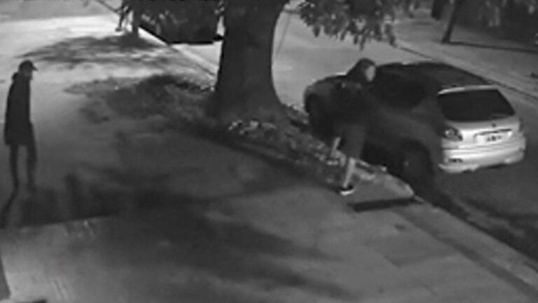 Insólito robo en La Plata: dejó su auto en la calle y se llevaron el techo