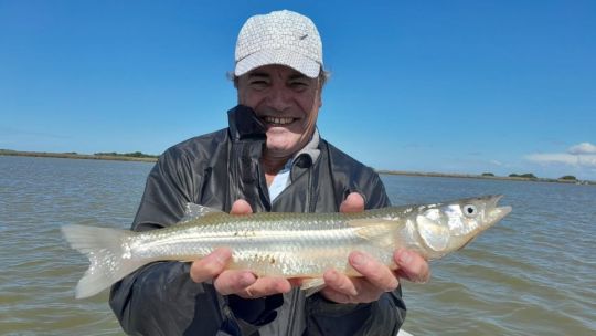 Los buenos matungos de Madariaga no se regalan