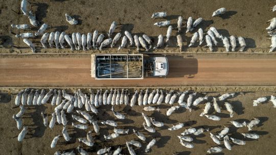 Por qué Brasil y Argentina saldrían ganando con la guerra comercial