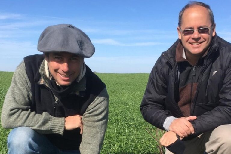 Acá se hacen bien las cosas: son hermanos, transformaron un campo y venden créditos de soja
