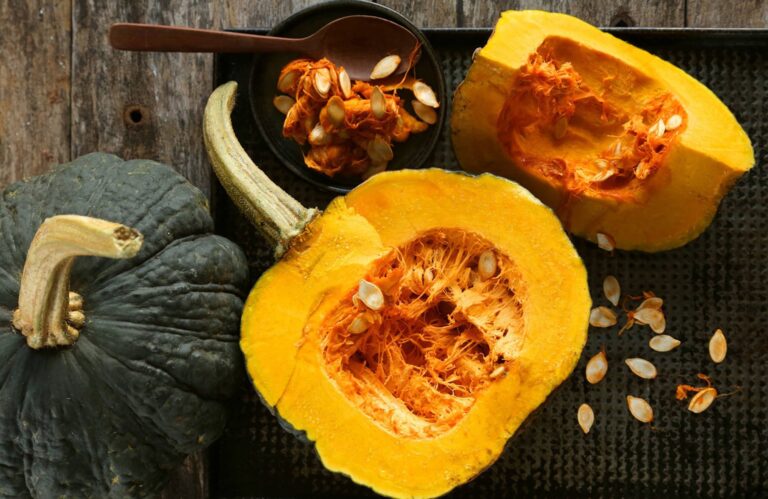 Temporada de zapallos: qué variedades hay y cómo disfrutarlas