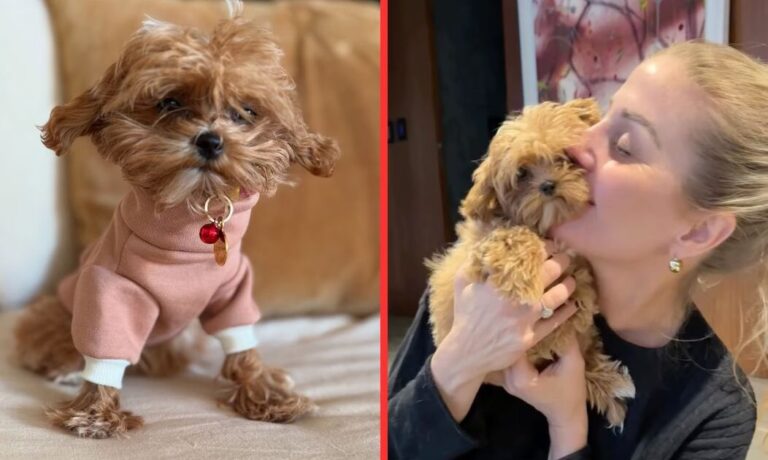 La insólita técnica de Barbie Simons que copia de Paris Hilton para sus perros