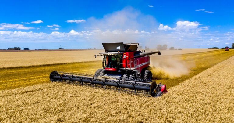 El empleo registrado se estanca, mientras hay más monotributistas y menos autónomos