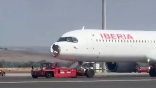 Madrid: un avión de Iberia aterrizó de emergencia tras impactar contra un pájaro