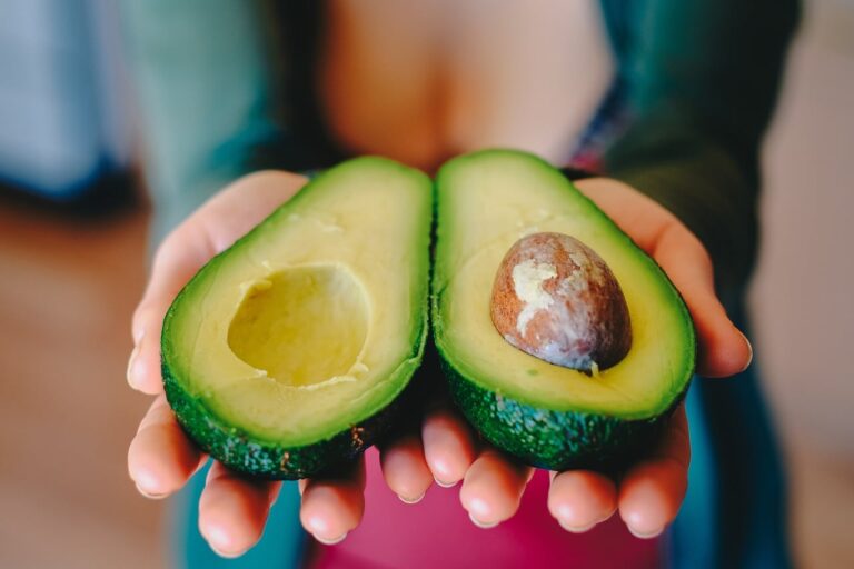 Cómo germinar semillas de palta en el jardín y obtener el árbol tan deseado
