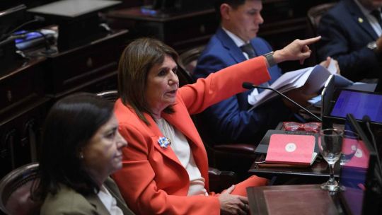 Patricia Bullrich, entre la reforma laboral y una candidatura: la negociadora de la casta