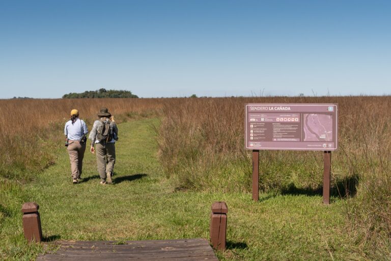 Mapa de Argentina con iconos de turismo destacando destinos con alta ocupación para el fin de semana largo.