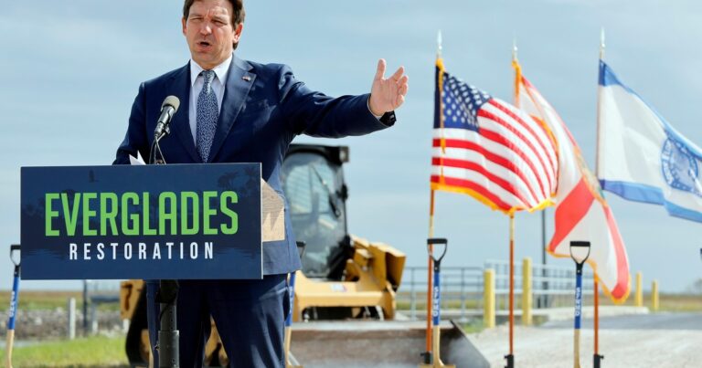 Vista aérea de un bosque productivo en Florida, mostrando la extensión de terreno protegido.