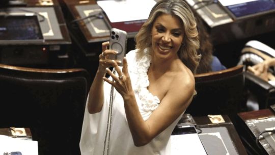 Virginia Gallardo, diputada nacional, y logo de los Premios Martín Fierro