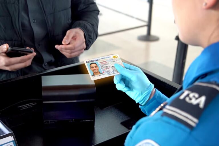 Documentos de identificación para viajar dentro de Estados Unidos, incluyendo pasaporte y licencia de conducir.